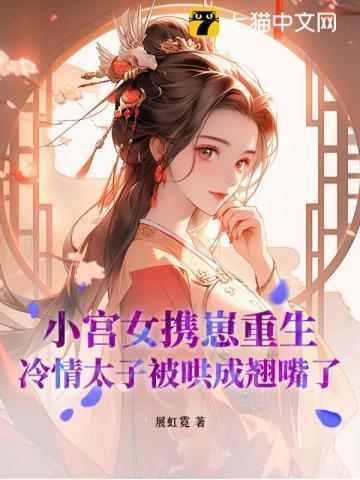 小宫女全文免费阅读