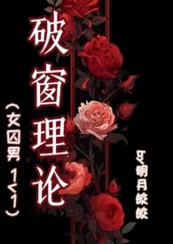 破窗理论明月皎皎阅读