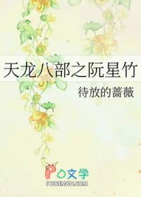 天龙八部之阮星竹 待放的蔷薇
