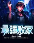 最强败家子免广告