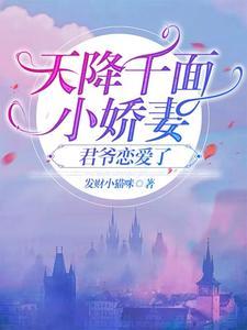 天降小娇妃全文免费阅读