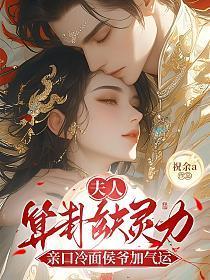 夫人又去算命了