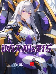 机战ap钢之魂